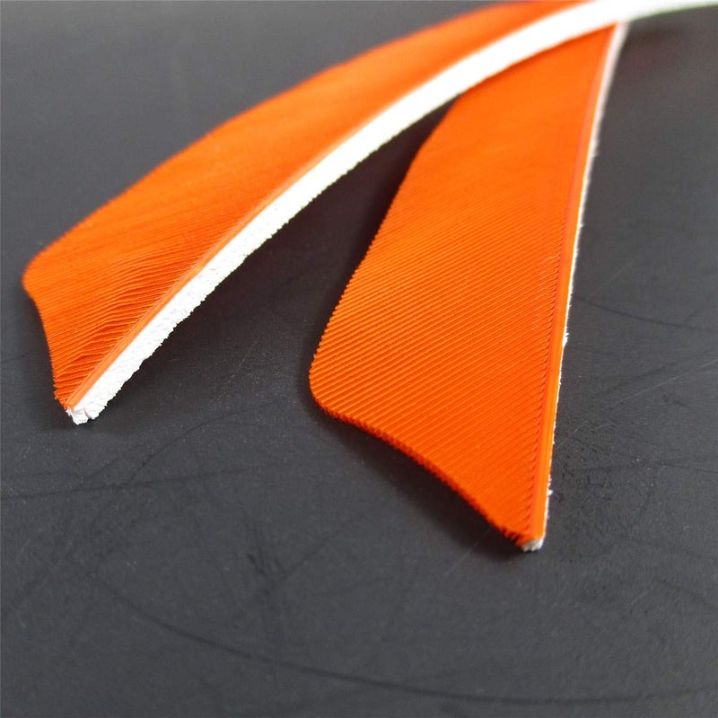Letszhu Archery Arrows Feather Fletching 4 Inch Real Turkey Vanes for Hunting Target Shooting (25 Pack) (Orange) - Image 4